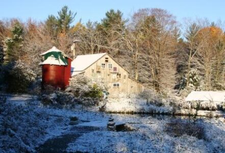 End-of-Season in the Greenhouse Image